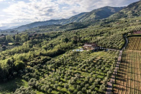 Ampio appartamento completamente rinnovato con vista e piscina Lucca